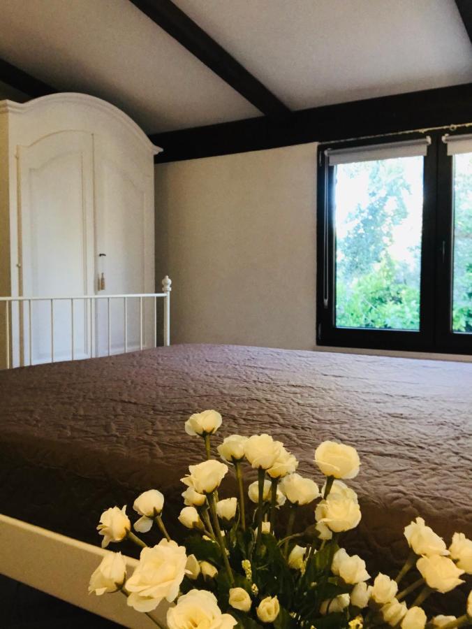 סן מיקלה סלנטינו Villa Anita מראה חיצוני תמונה