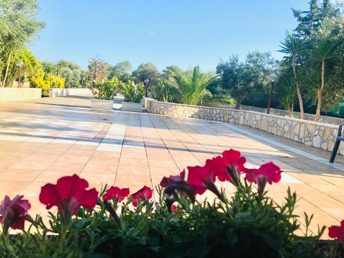סן מיקלה סלנטינו Villa Anita מראה חיצוני תמונה